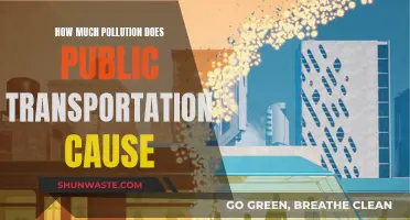 The Green Impact: Public Transit's Pollution Paradox