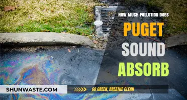 Puget Sound's Pollution Absorption Capacity: Understanding the Impact