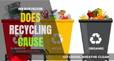 The Surprising Environmental Impact of Recycling: A Deep Dive