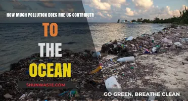 US Ocean Pollution: What's the Damage?