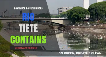 The Tiete River's Pollution Crisis: A Critical Analysis