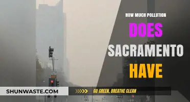 Sacramento's Pollution Problem: A Comprehensive Overview
