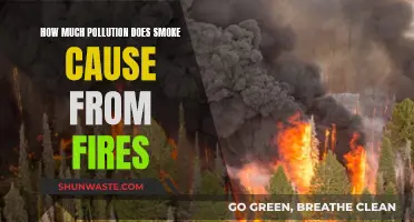 Unveiling the Environmental Impact: Smoke's Pollution from Fires