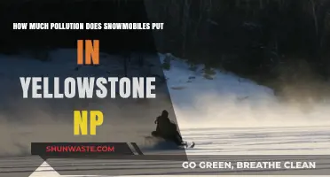 Snowmobile Pollution in Yellowstone: A Troubling Issue