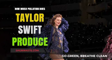 Taylor Swift's Pollution: What's the Environmental Impact?
