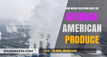 Americans' Pollution Footprint: A Personal Environmental Impact