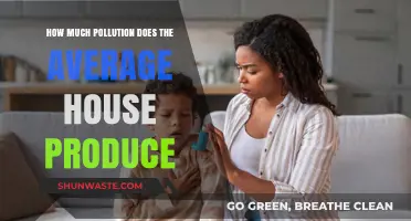 Homes' Pollution Footprint: How Much is Too Much?