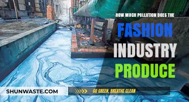 Fashion Industry's Pollution: A Costly Affair
