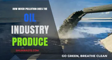 The Oil Industry's Pollution Problem: A Critical Analysis