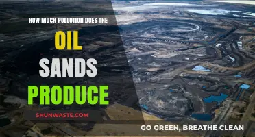The Oil Sands' Pollution Problem: How Much is Too Much?