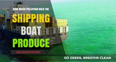 Shipping Boats: Polluting Our Oceans and Air