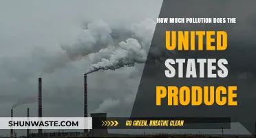 US Pollution Output: A Comprehensive Overview