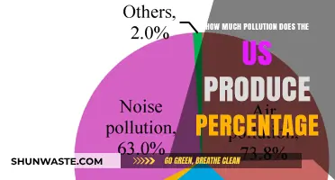 US Pollution Production: A Comprehensive Overview