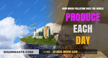 The World's Daily Pollution Output: A Global Crisis