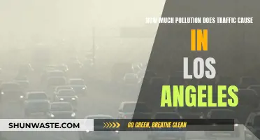 LA's Traffic: A Major Source of Air Pollution