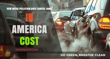Traffic Jams: America's Costly Pollution Crisis