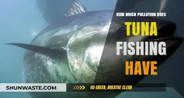 Tuna Fishing's Environmental Impact: Pollution and Sustainability