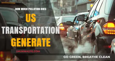 Transportation's Pollution: A Costly US Problem