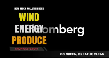 Wind Energy: Pollution Produced and What it Means