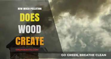 Wood Burning: Pollution and Health Hazards