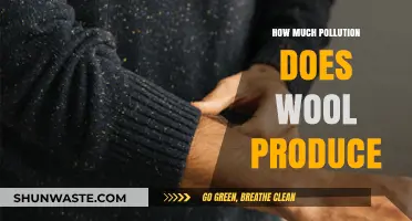 The Dark Side of Wool: Pollution and Environmental Impact
