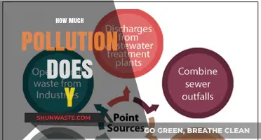 The Dark Side of Y: Uncovering Pollution Secrets