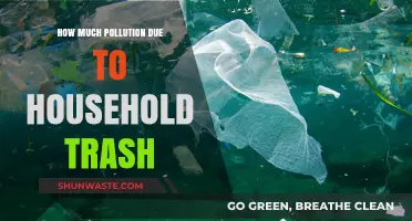 Trash Talk: Household Pollution's Dirty Secrets
