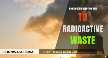 Radioactive Waste: Pollution's Lingering Legacy