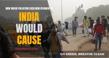 India's Environmental Footprint: Unveiling the Impact of New Residents