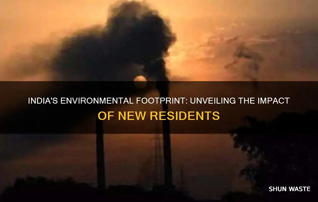 how much pollution each new resident in india would cause