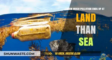 Land vs Sea: Where Does Pollution End Up?