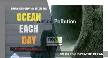 Ocean Pollution: How Much Daily Damage?