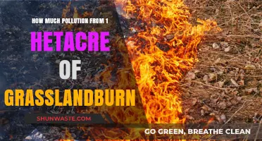 Grassland Burning: Pollution Impact on Nature