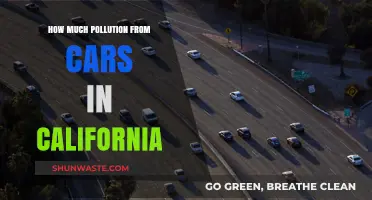 California's Car Pollution Crisis: A Critical Analysis