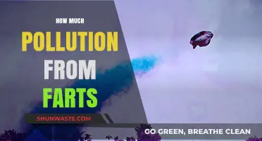 Farts: The Surprising Truth About Their Pollution Levels