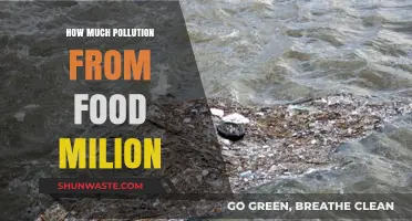 Food Miles: The Pollution Cost of Imported Food