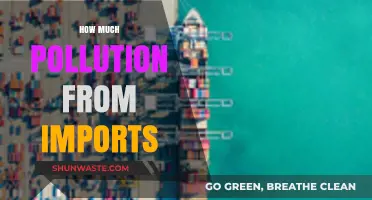 The Dark Side of Imports: Pollution's True Cost