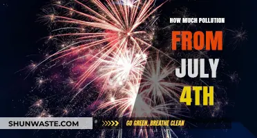 Summer Fireworks: The Pollution Price