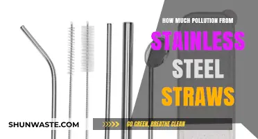 Stainless Steel Straws: Pollution Impact and Alternatives