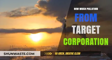 Target's Pollution Problem: A Corporate Accountability Investigation