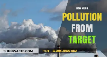Target's Pollution Trail: Counting the Environmental Cost