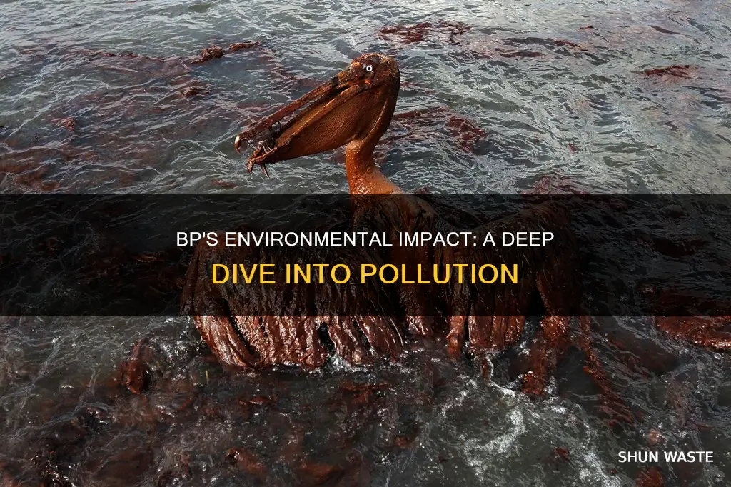 how much pollution has bp caused