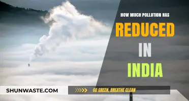 India's Pollution Reduction: A Comprehensive Overview