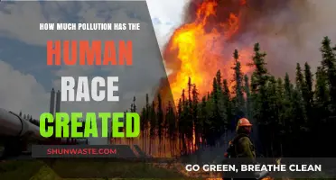 Humanity's Pollution Legacy: A Global Crisis