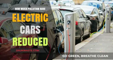 Electric Cars: Pollution Reduction and the Road Ahead