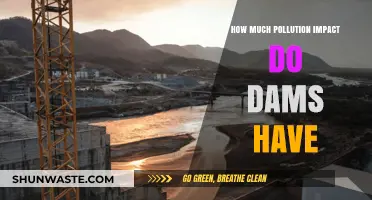 Dams: Unlocking the Secrets of Their Pollution Impact