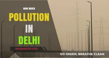 Delhi's Pollution Crisis: A Deep Dive