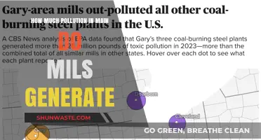 Mils' Pollution Problem: How Bad is It?