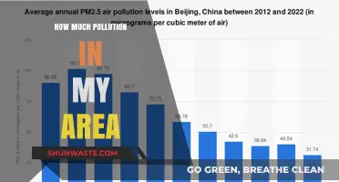 Local Pollution: How Bad Is It?