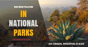 National Parks: Pollution's Unseen Impact